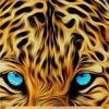 rmlooking
